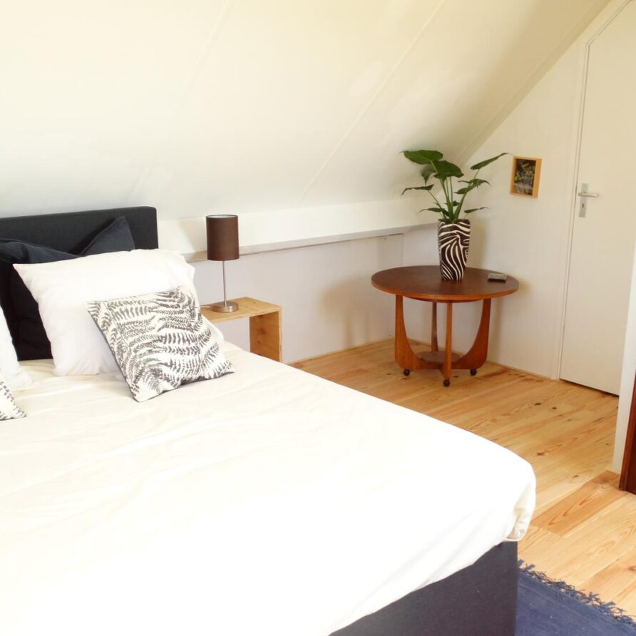 Blue Dot Hotel Blije – Gastenkamer